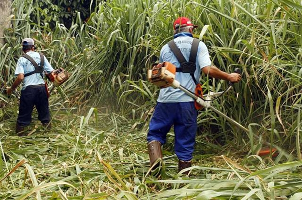 Se não atendida, prefeitura limpa e cobra valor do serviço (Foto Circuito Regional)
